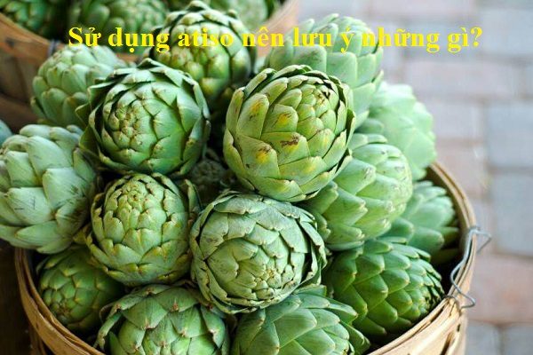 Bông atiso có tác dụng gì?