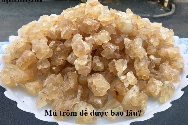 Mủ trôm để được bao lâu? Phải lưu ý không để hại sức khỏe