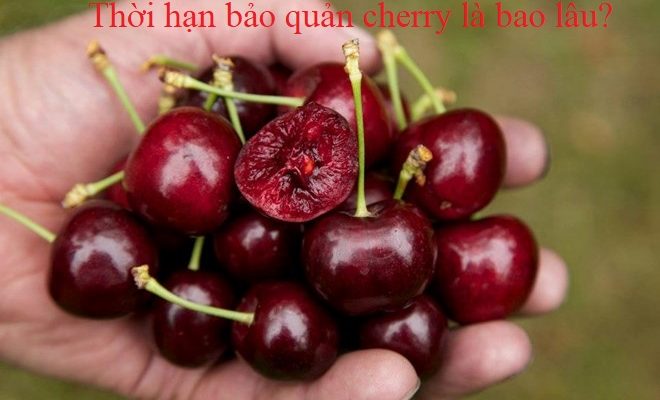 Cherry để được bao lâu mà không bị hư hỏng