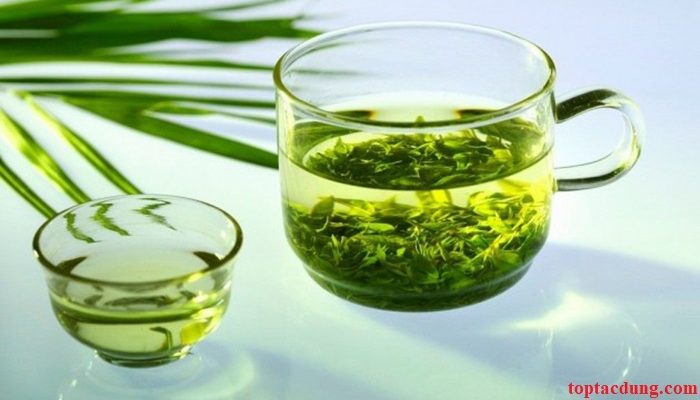 Uống nhiều nước lá đinh lăng có tốt không? Có tác dụng gì?