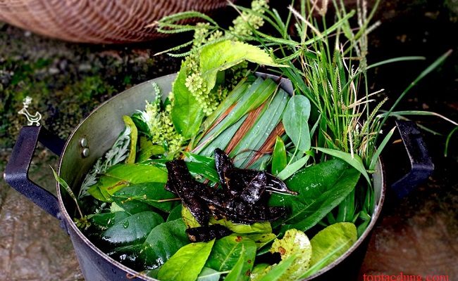 7 loại lá cây dùng để xông giải mỏi, trị cảm cúm hiệu quả nên dùng