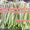 Bồn bồn là cây gì? Có tác dụng gì? Chế biến nấu món gì ngon bổ