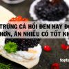 Trứng Cá Hồi Đen Hay Đỏ Tốt Hơn, Ăn Nhiều Có Tốt Không?