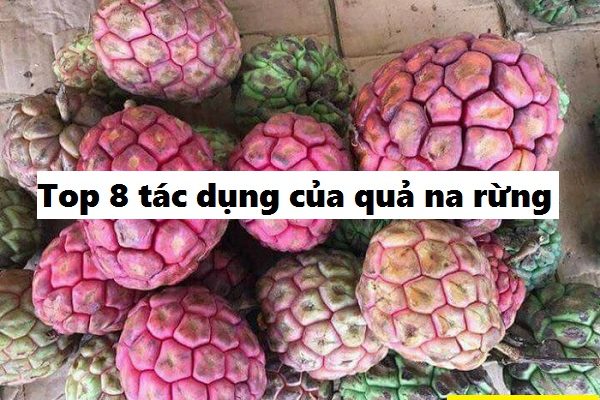 Top 8 tác dụng của quả na rừng đang gây sốt