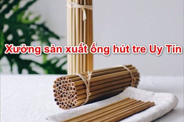 Top 7 xưởng cơ sở sản xuất ống hút tre Uy Tín Việt nam