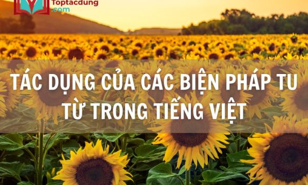 Tác dụng của các biện pháp tu từ trong tiếng Việt