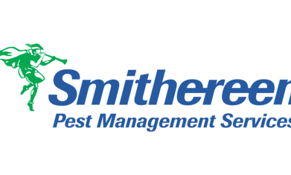 Smithereen Pest Management Services: Your Reliable Solution for Effective Pest Control